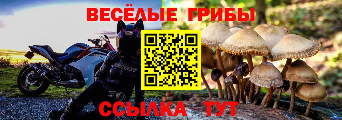 Галлюциногенные грибы мухоморы Кыштым