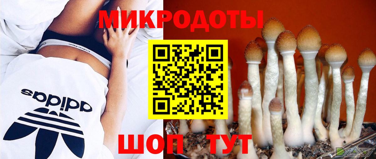 Кыштым  где продают наркотики  Вход с VPN  Псилоцибиновые грибы MAGIC MUSHROOMS 